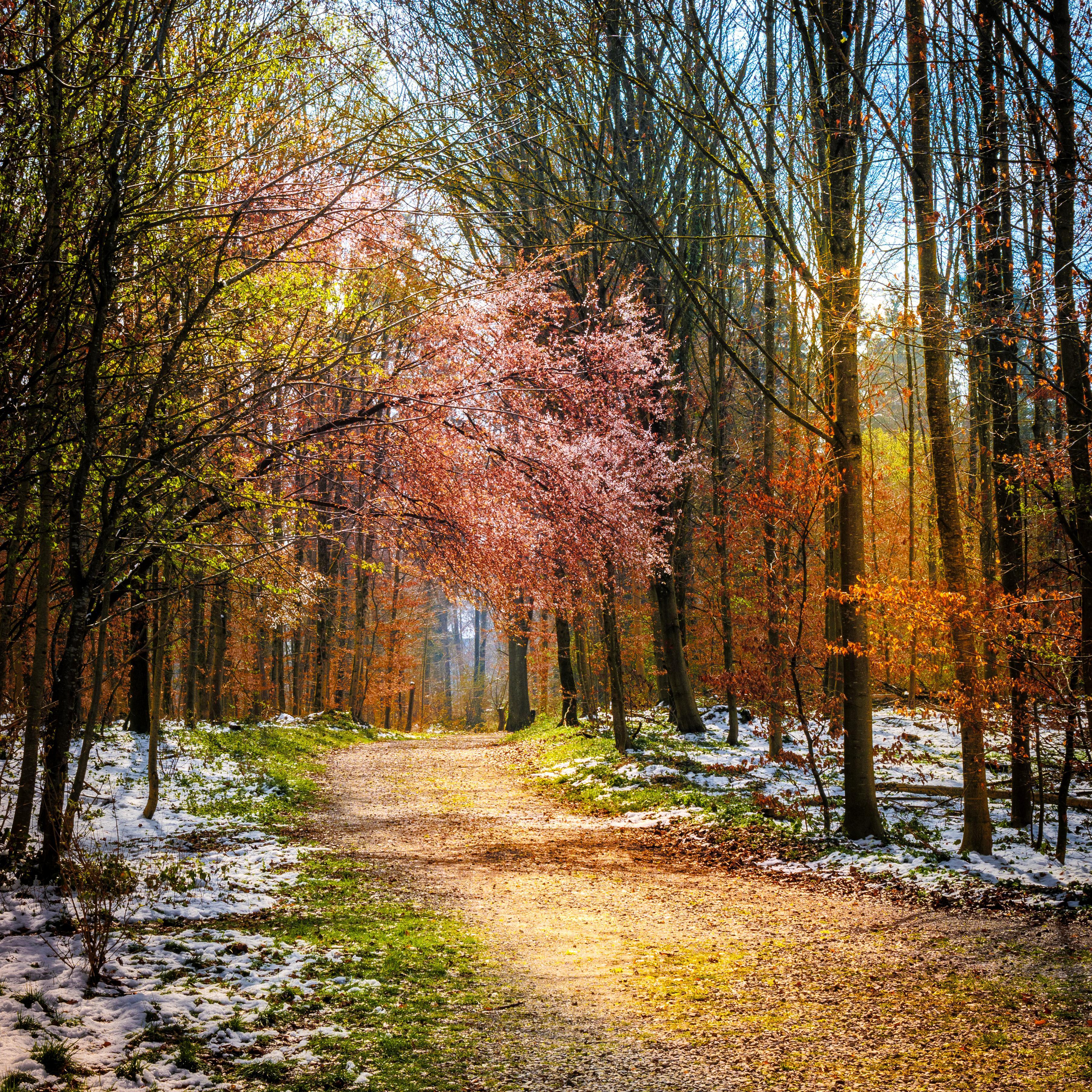 Almost too many colors this morning in a forest in Bern, Switzerland