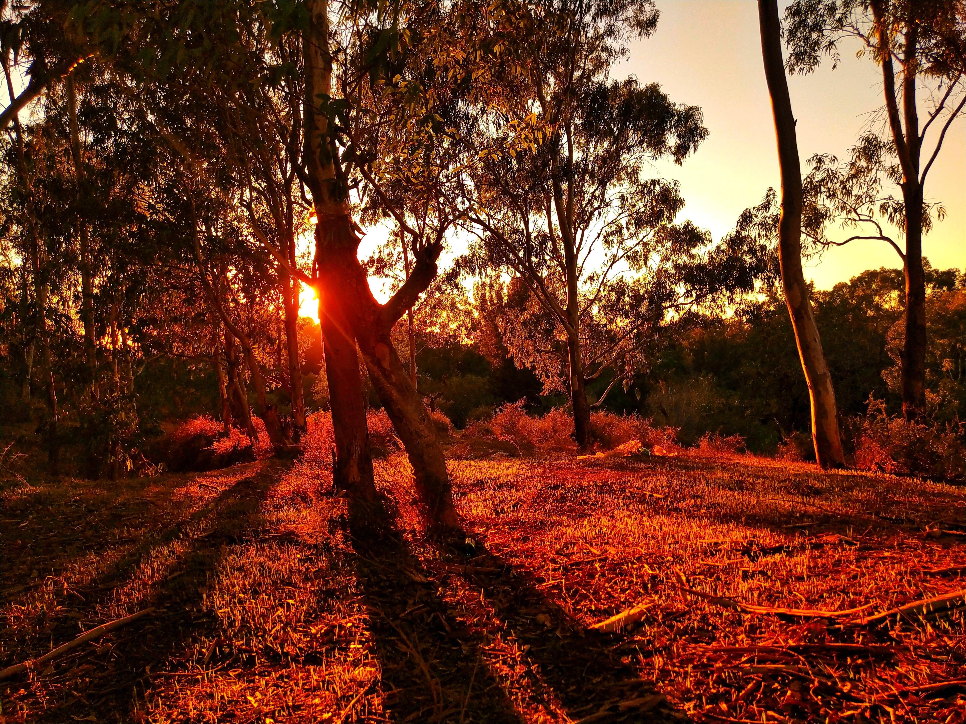Wallpaper image