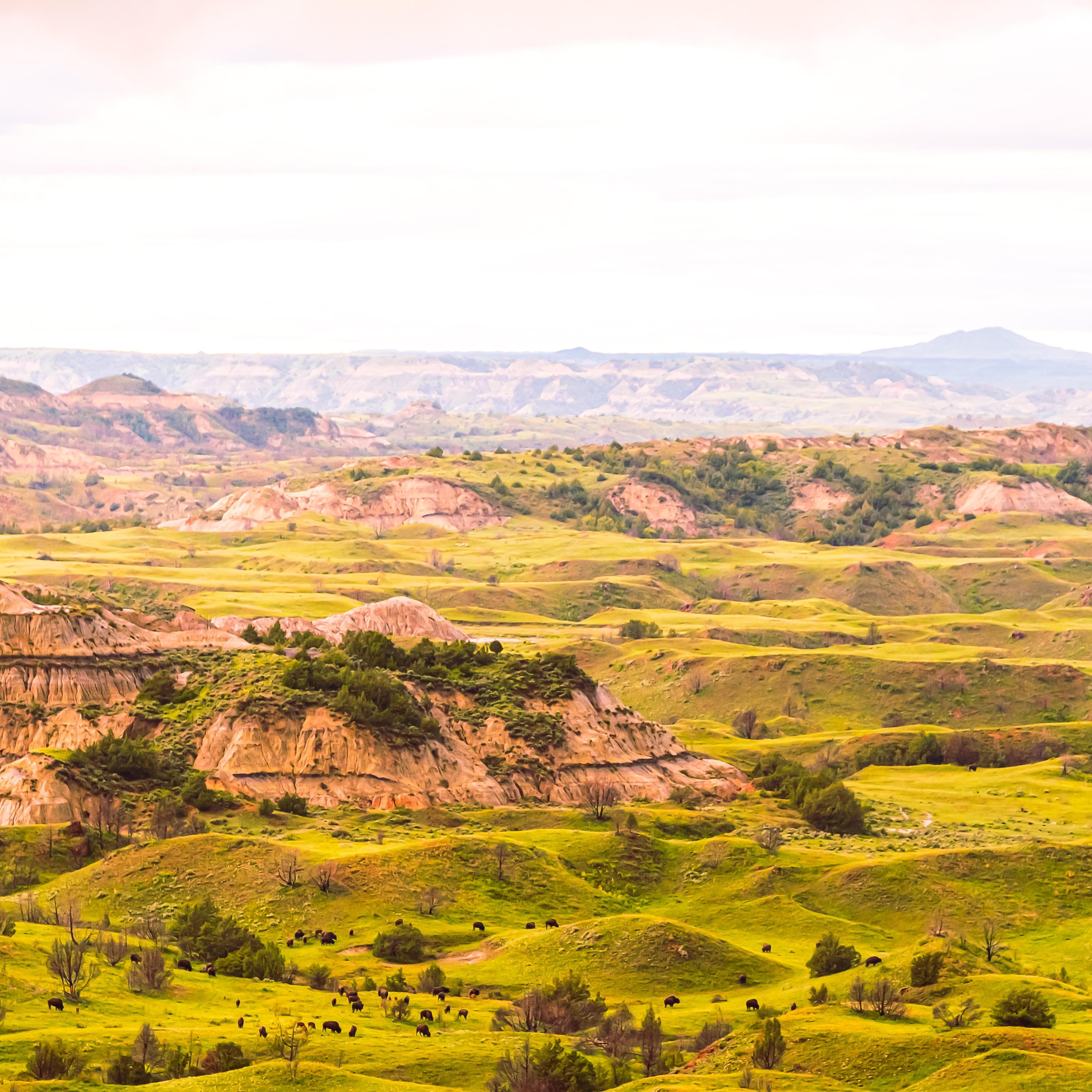 Theodore Roosevelt Nat. Park