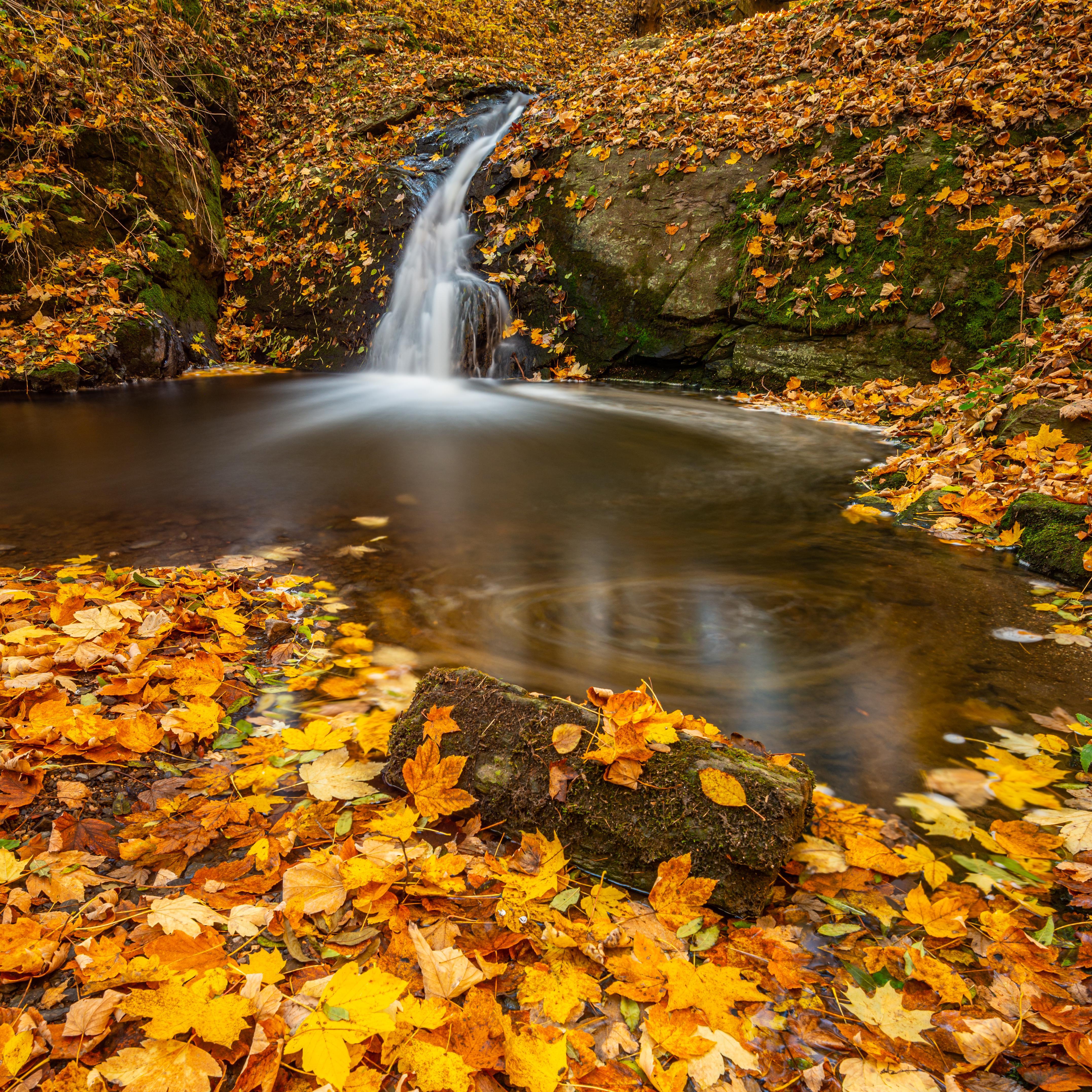 Autumn waterfall, Czechia