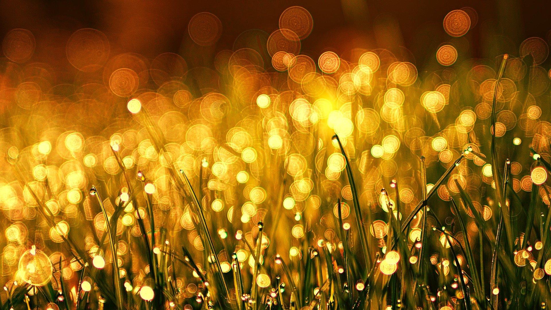 Wallpaper image