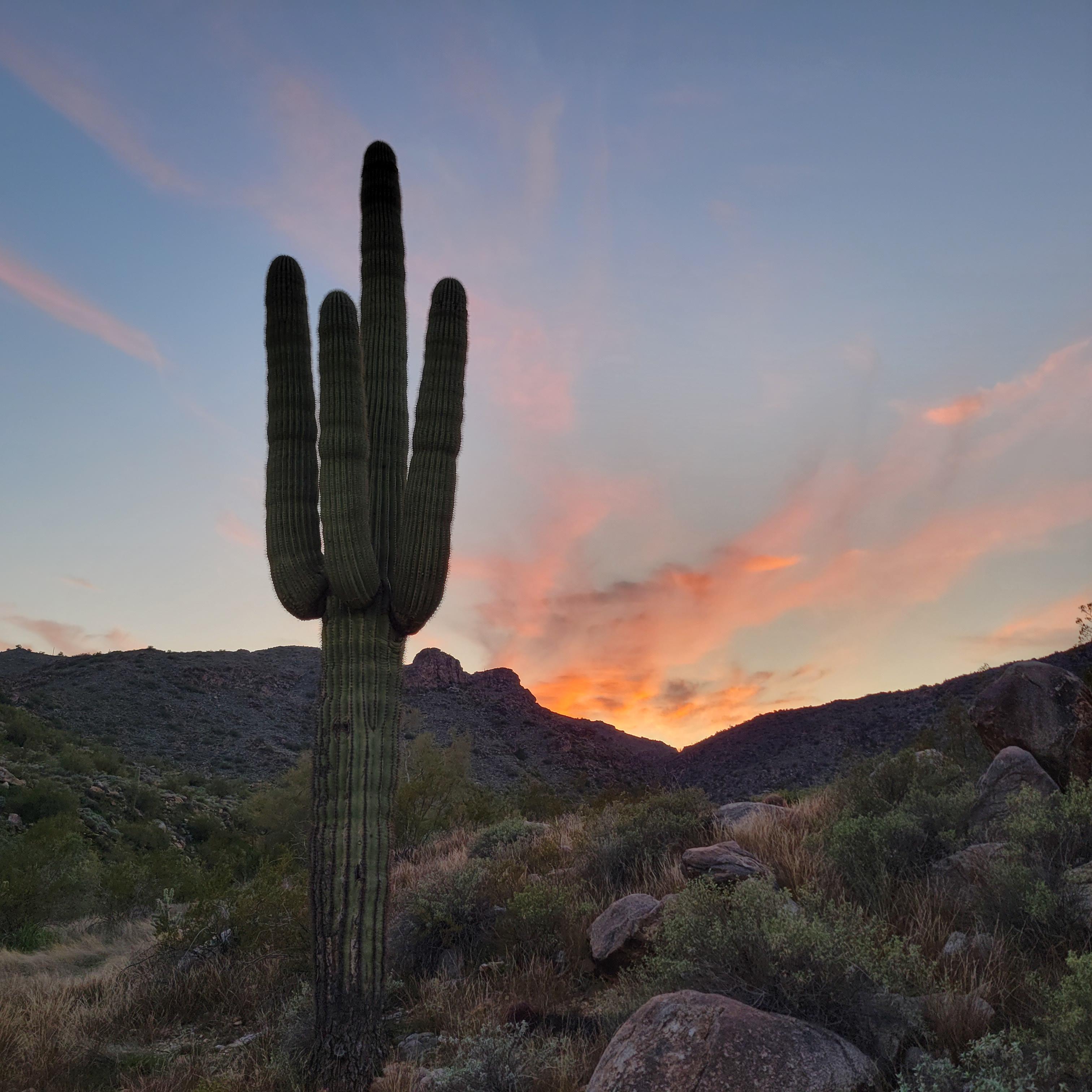 White Tank Mountians, AZ