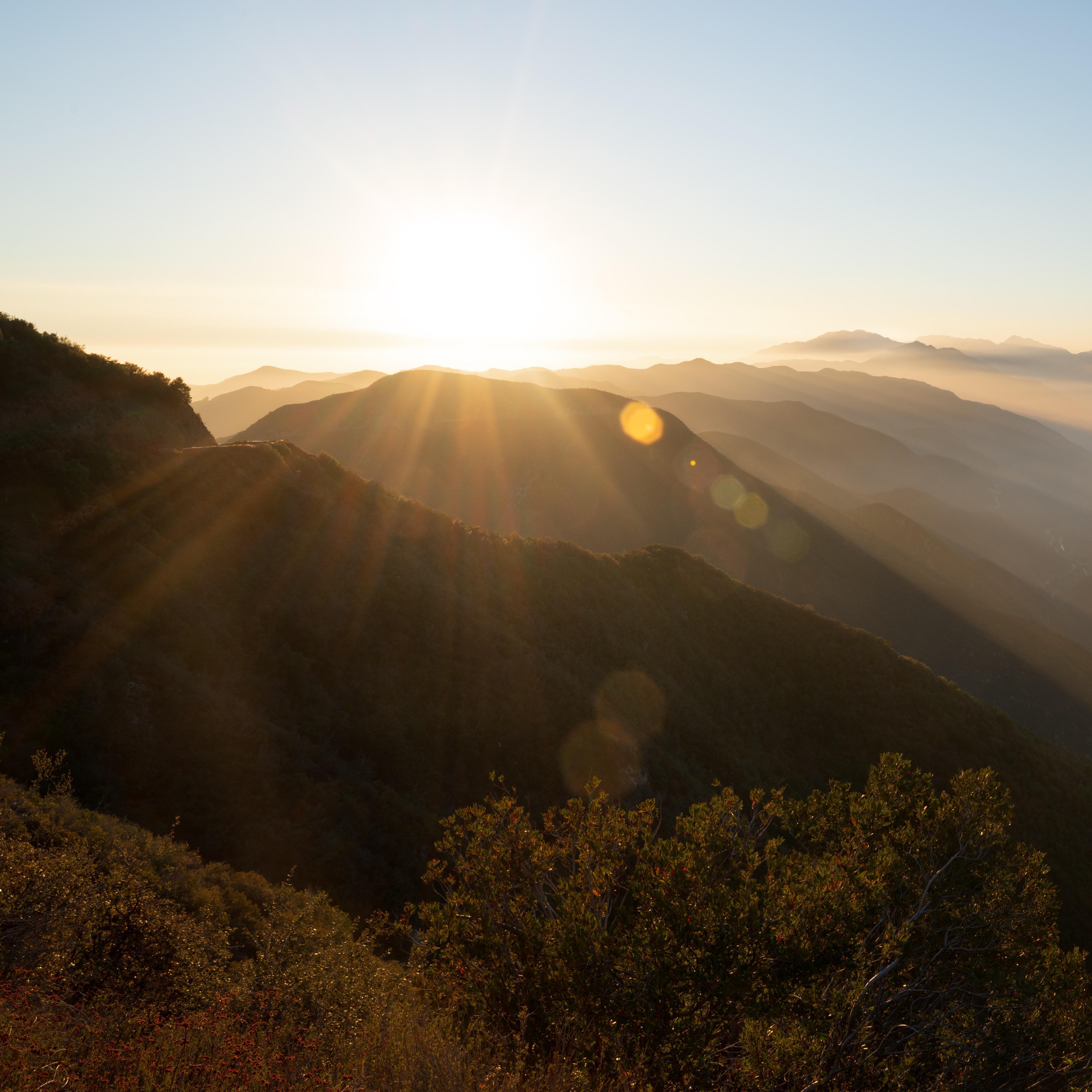 Gorgeous afternoon in Angeles National Forest [3954 x 3954]