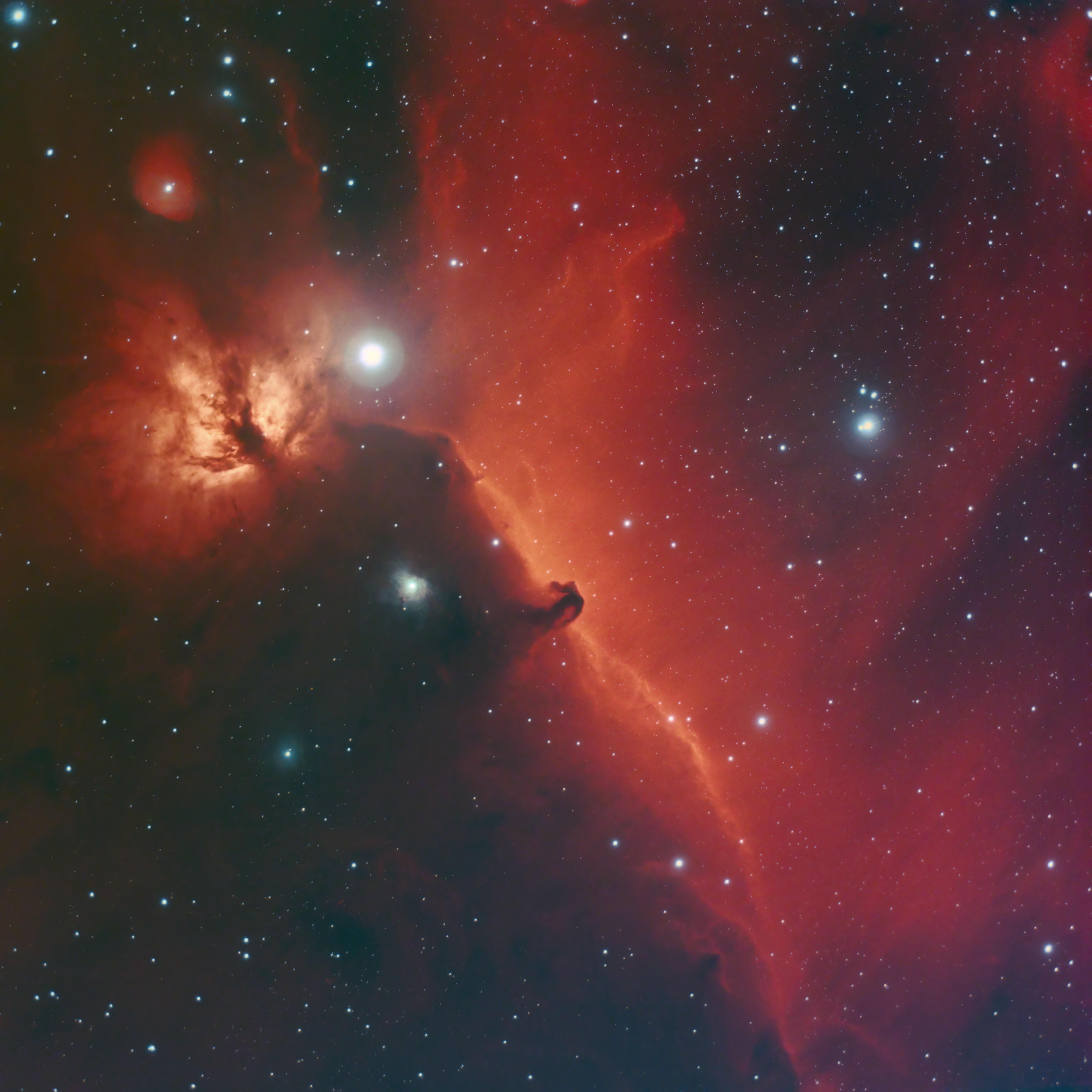 The Horsehead and Flame Nebula
