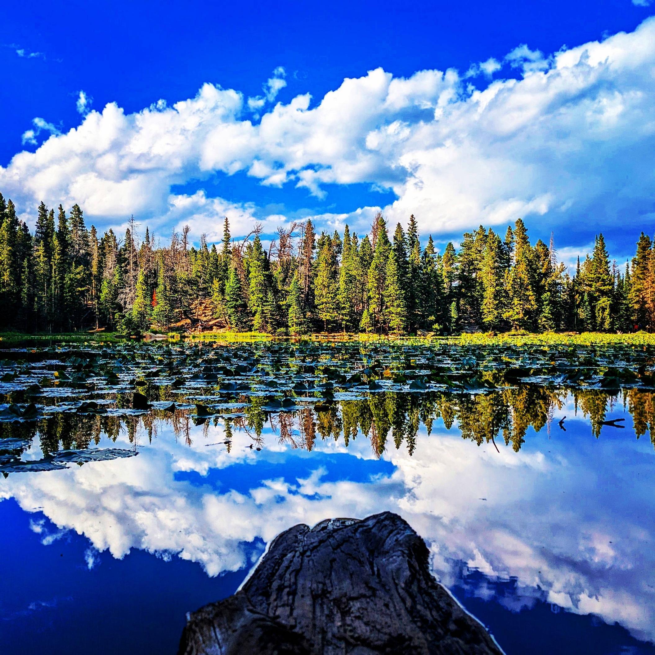 Nymph Lake at Bear Lake, Colorado