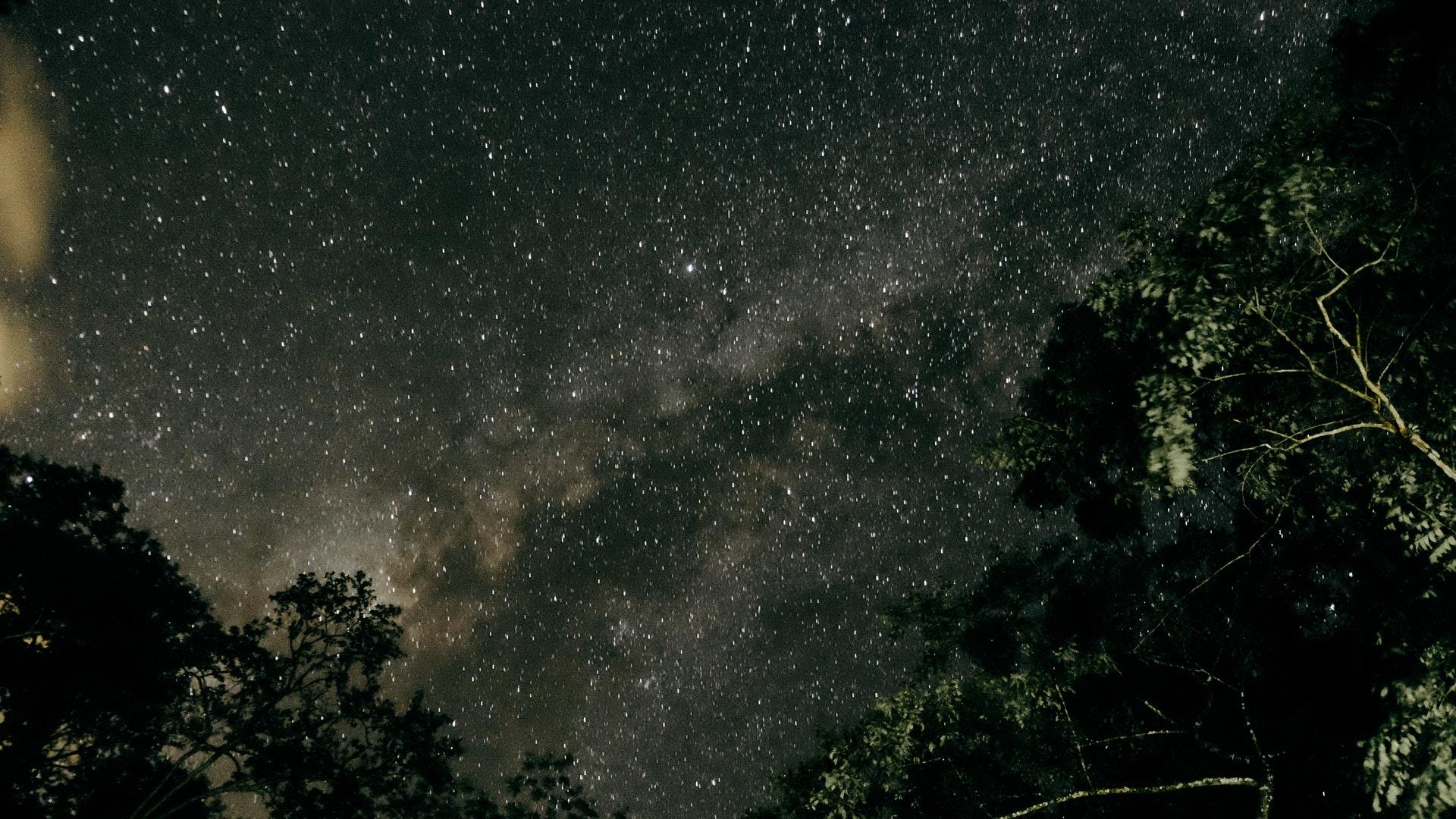 Wallpaper image