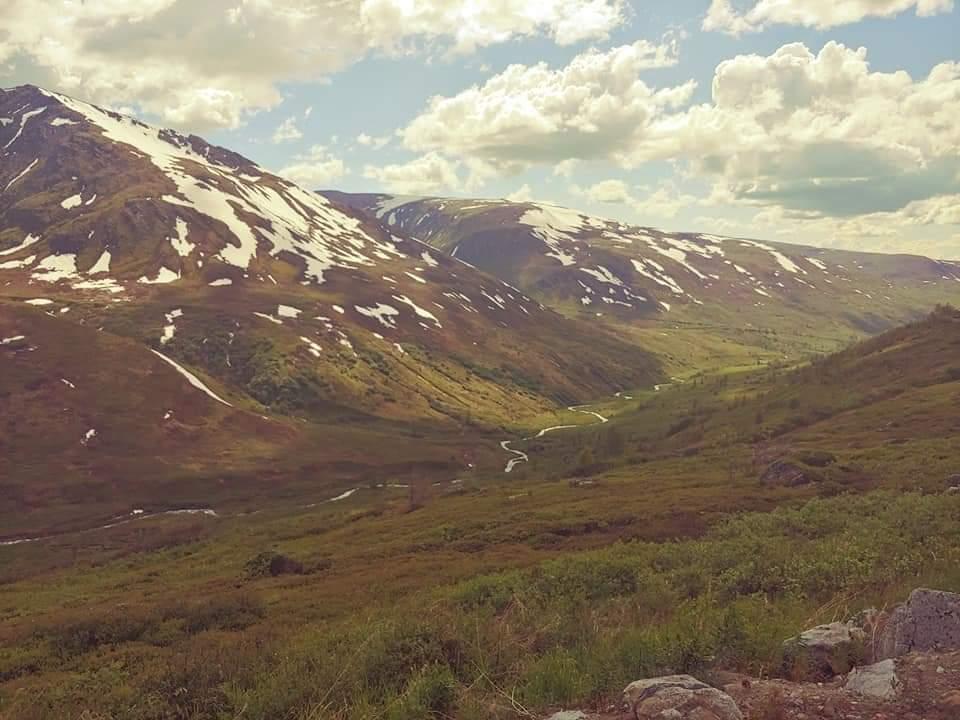 Wallpaper image