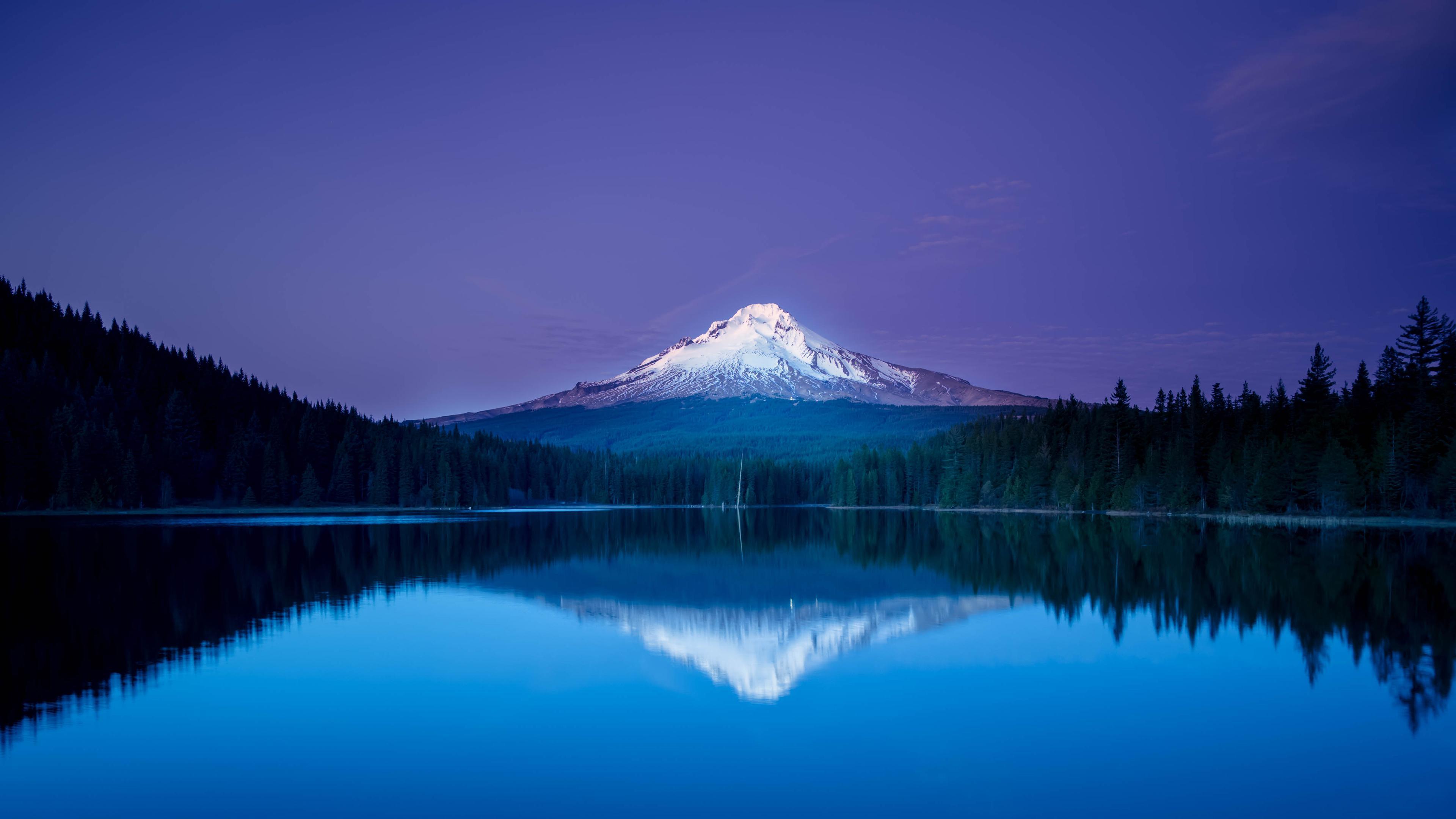 Wallpaper image