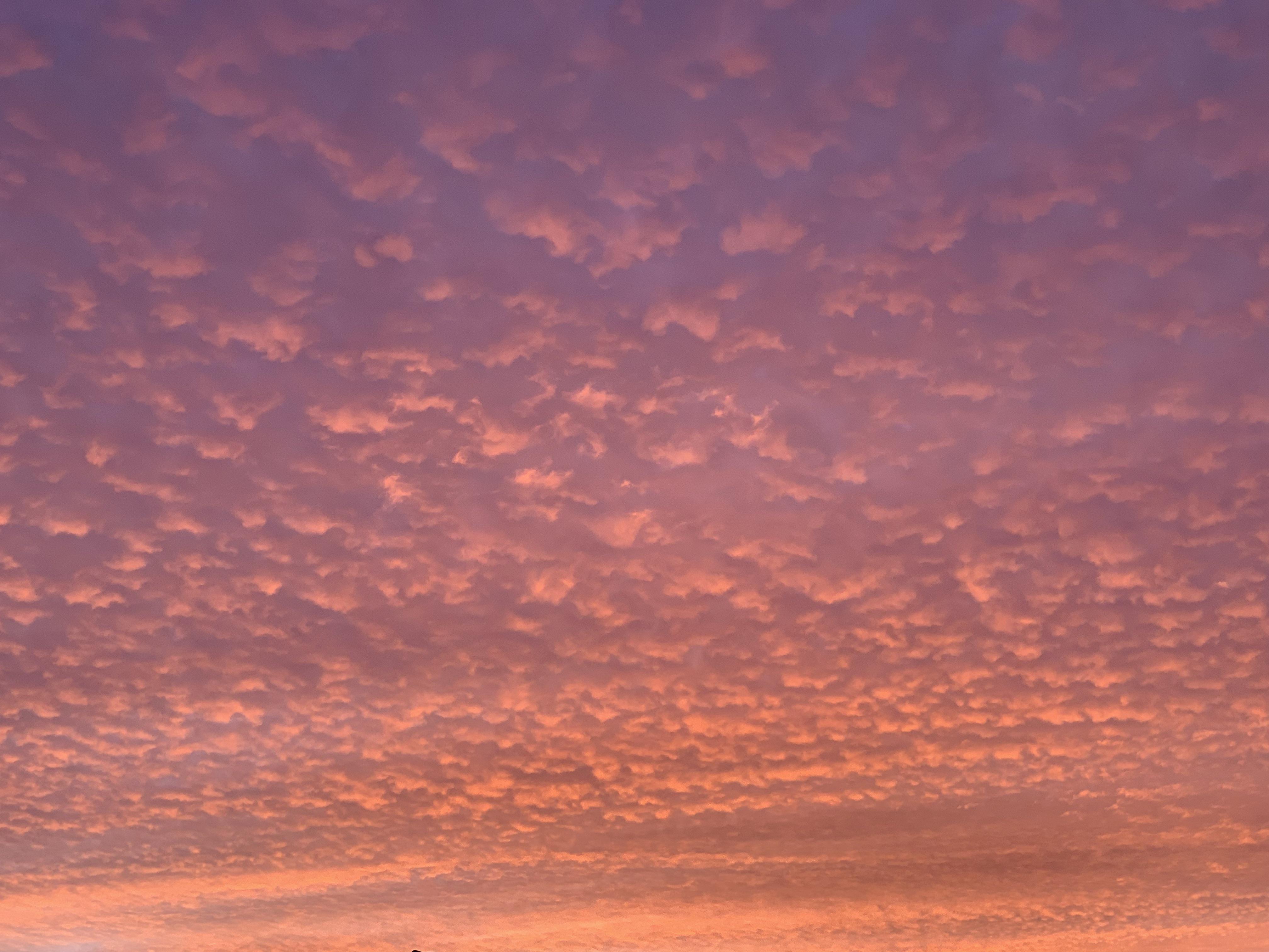 Wallpaper image