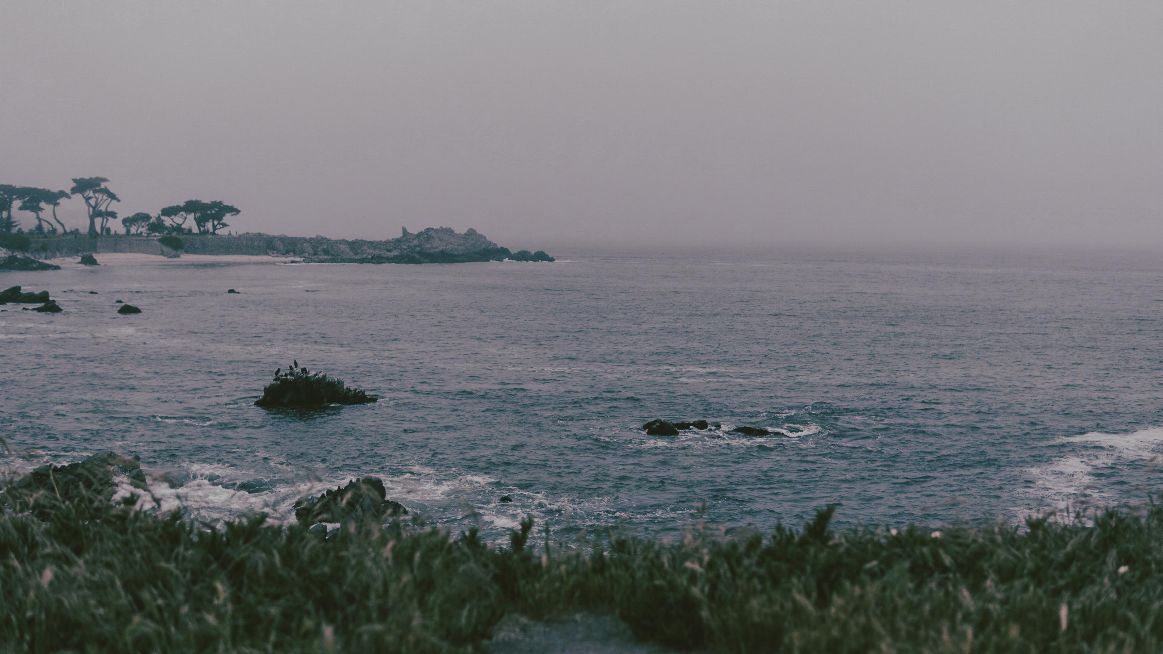 Wallpaper image
