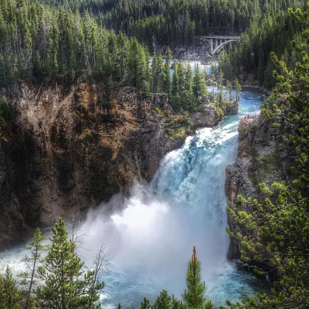 Majestic Yellowstone - Upper Falls.  IG:gingy20