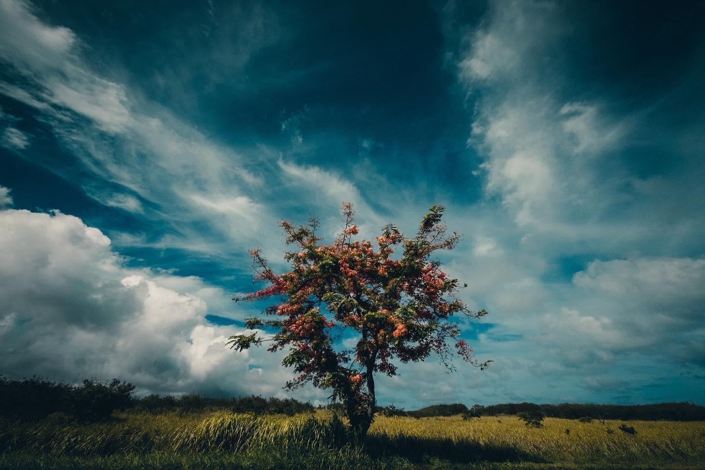 Wallpaper image
