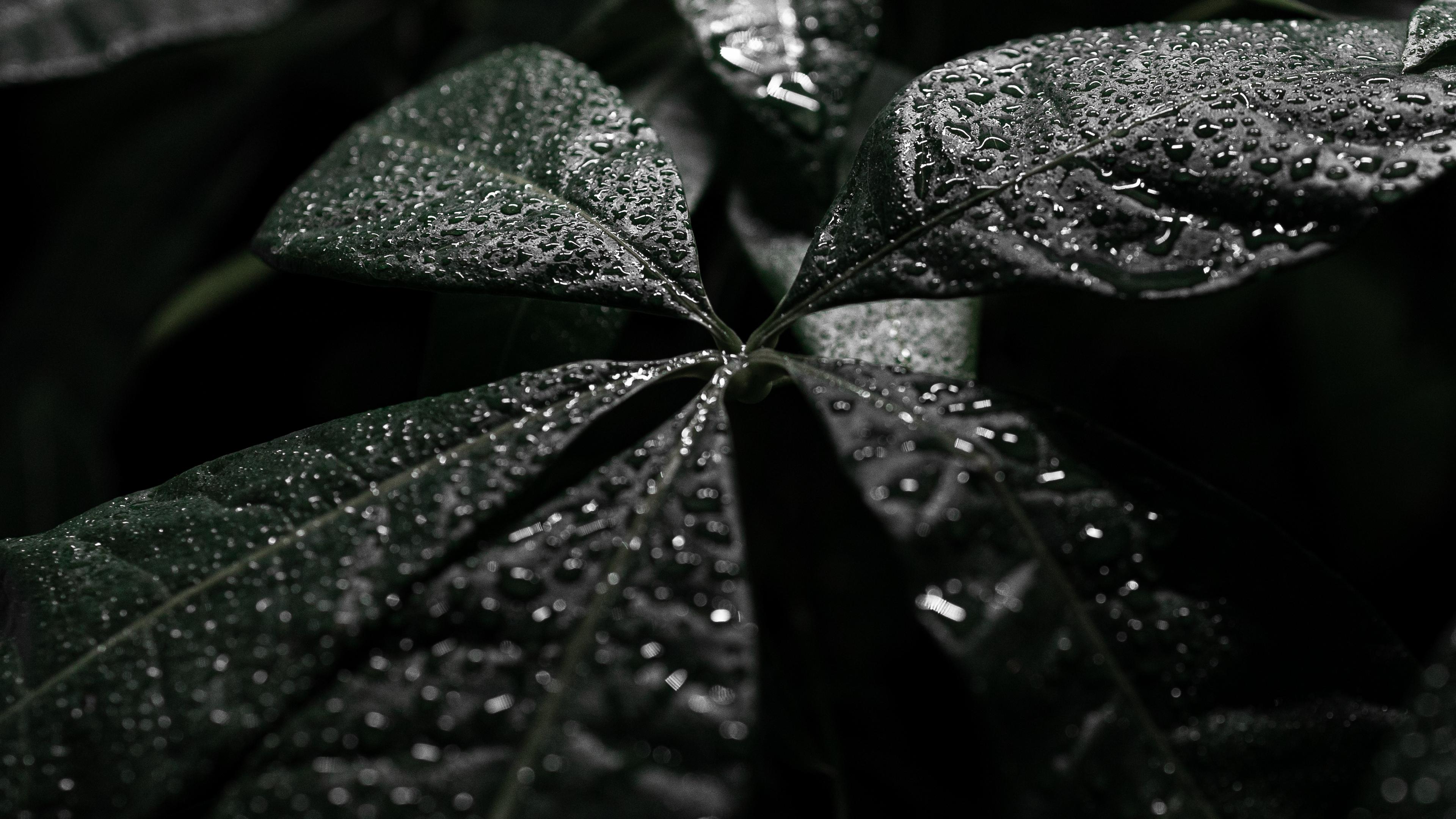Wallpaper image