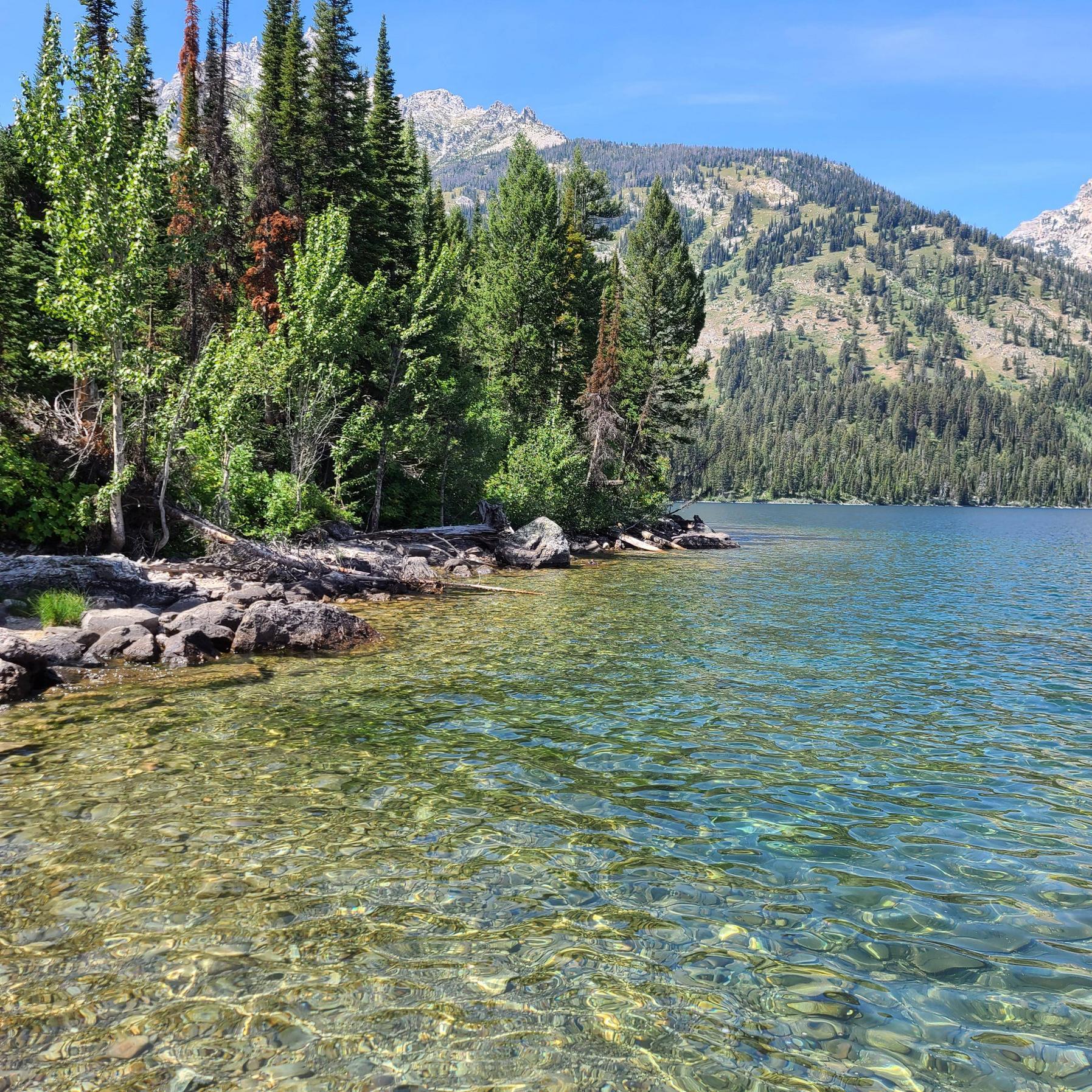 Jenny Lake, Grand Tetons N.P.