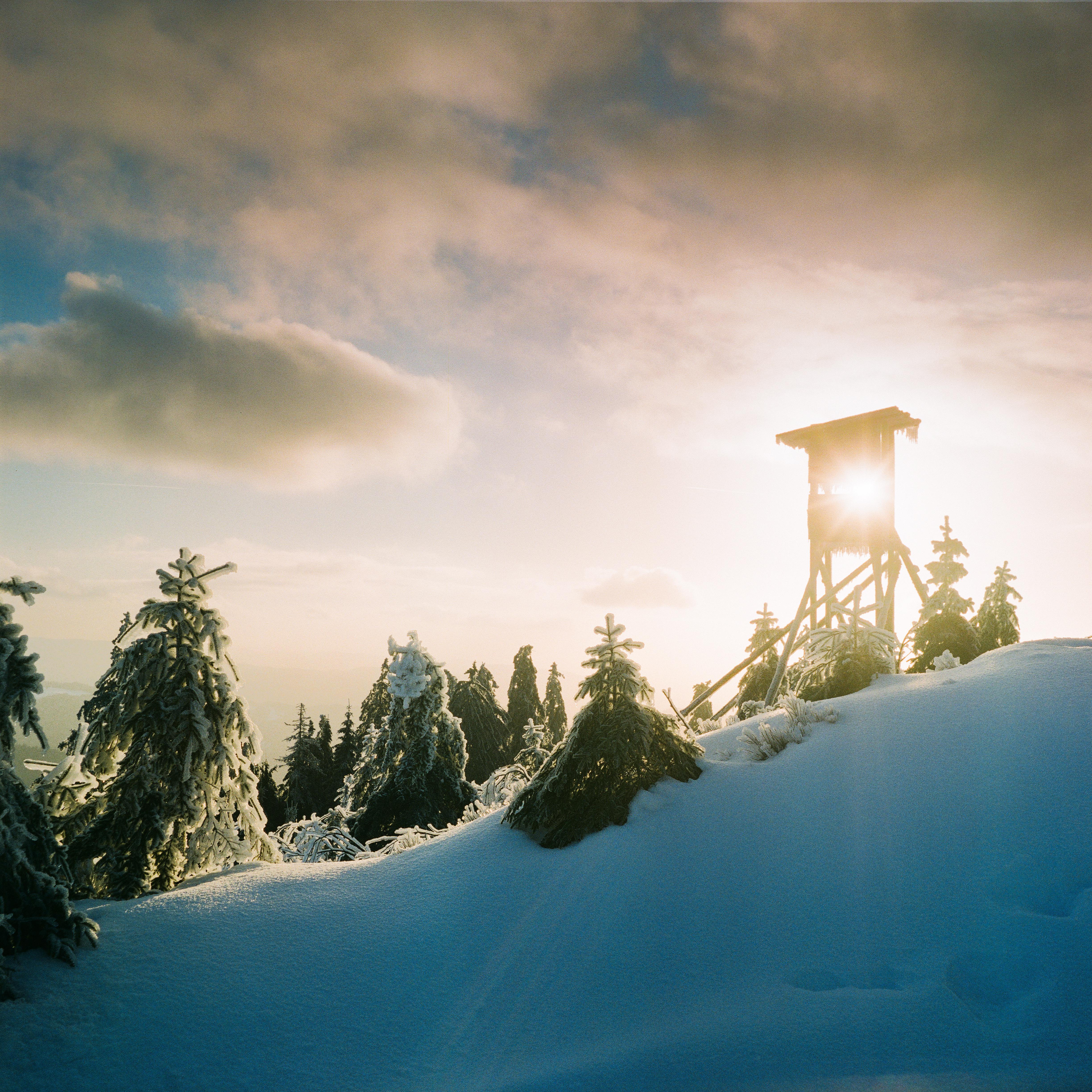 When the storm clears up and the sun’s finally peaking through the clouds | Black Forest, Germany