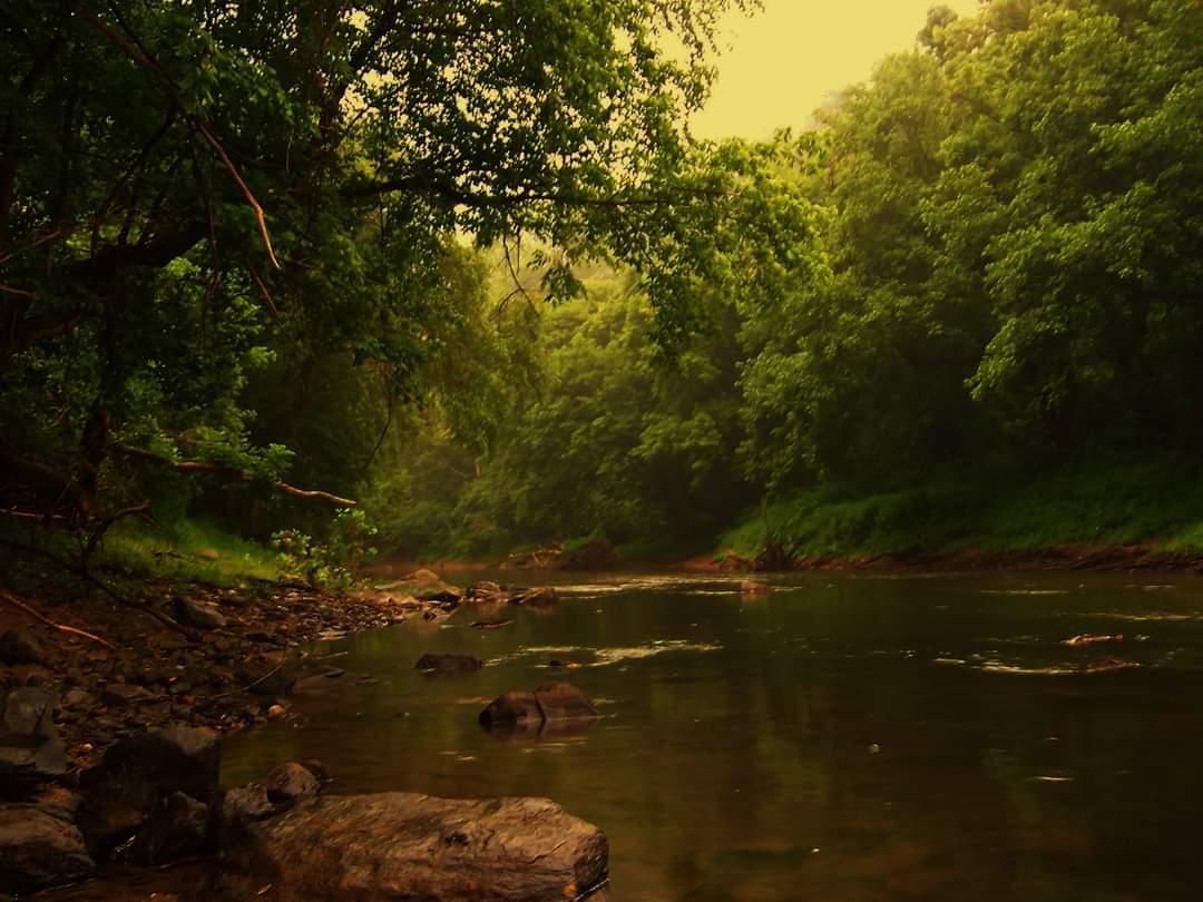 Wallpaper image