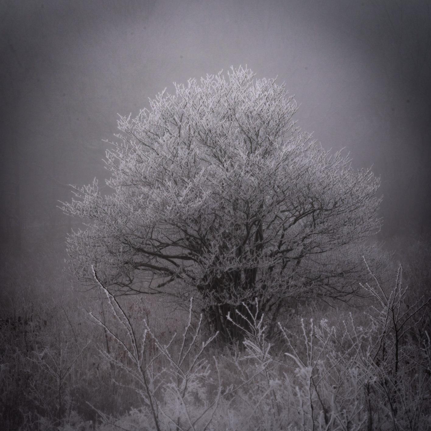 This could be a Black Keys album. "Cold As F&amp;$#" Big Meadow in the south of Shenandoah.