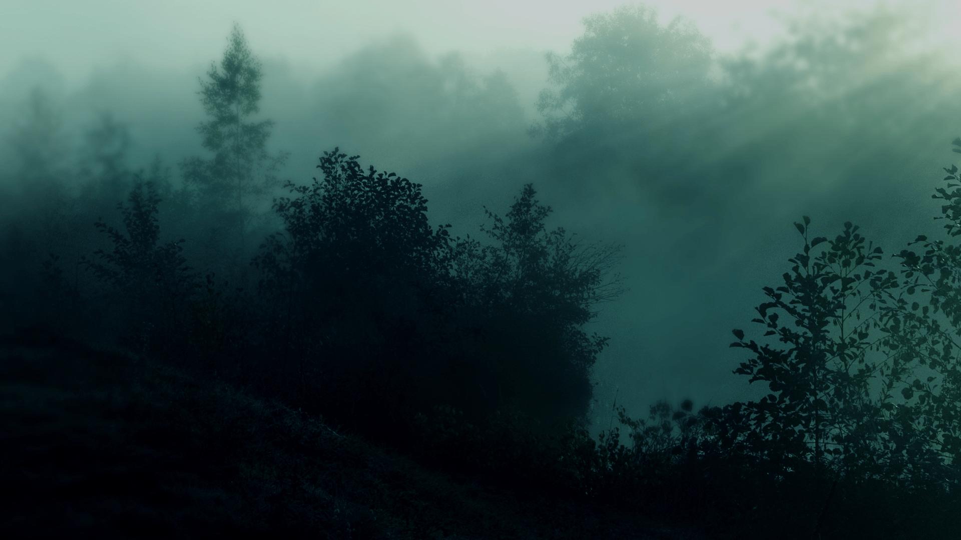 Wallpaper image