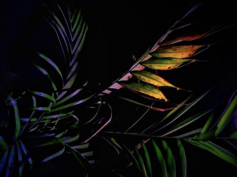 Wallpaper image