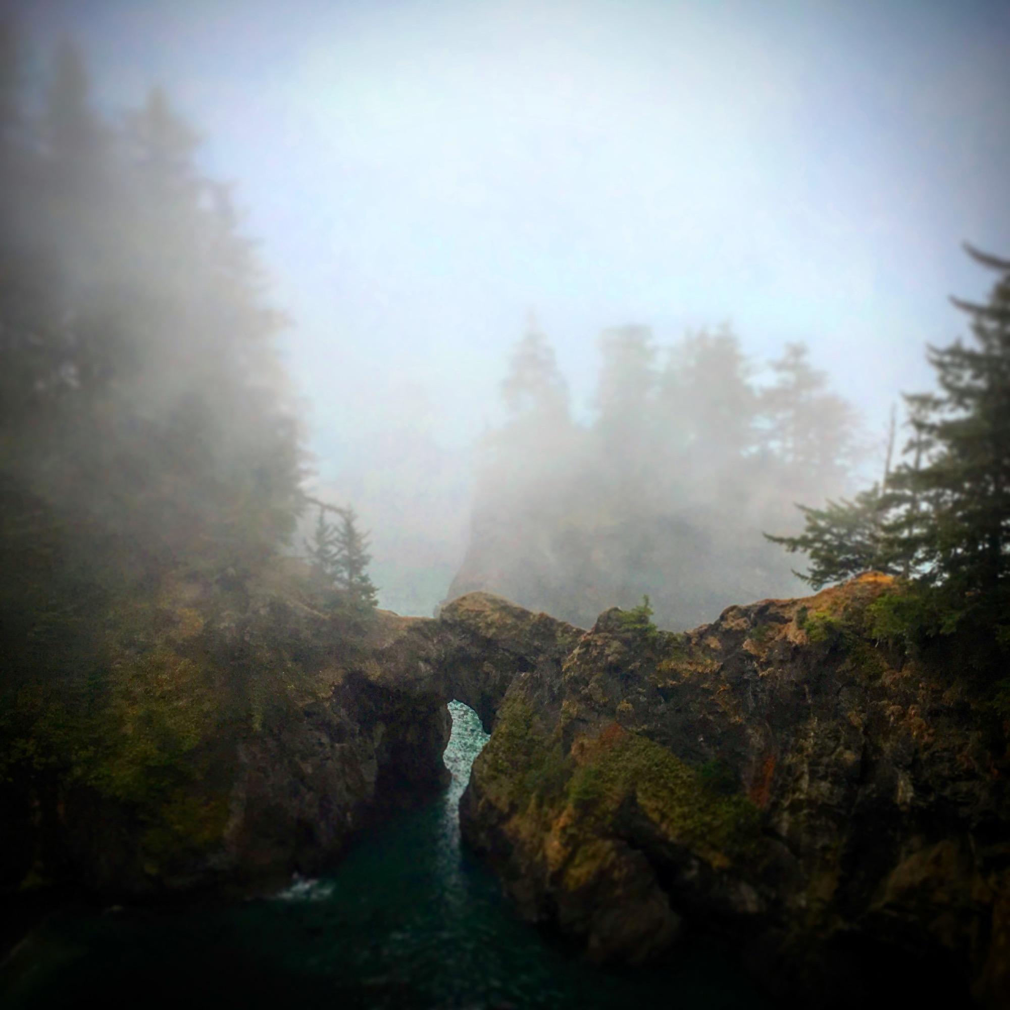 Cove on southern Oregons coast