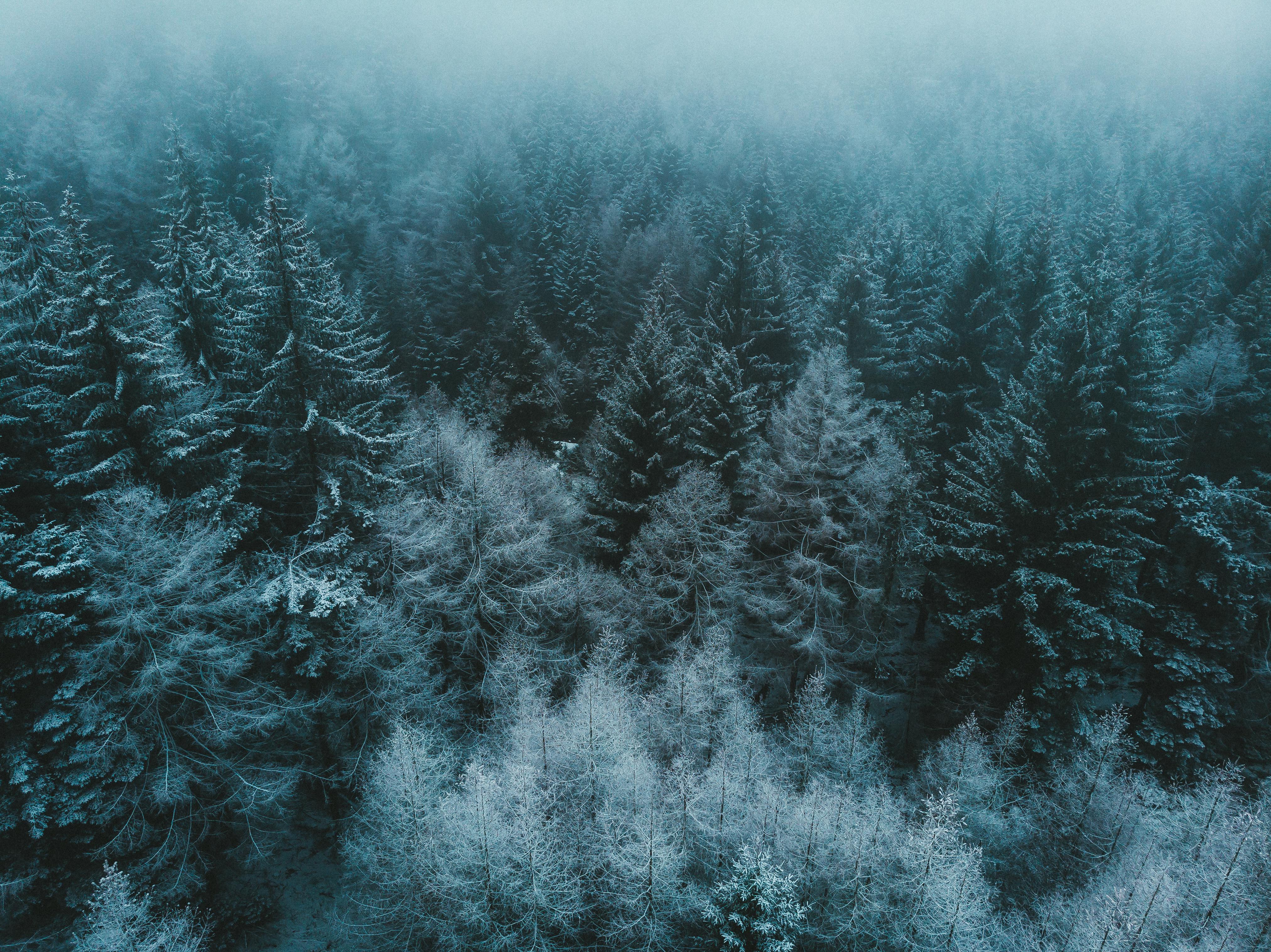 Wallpaper image