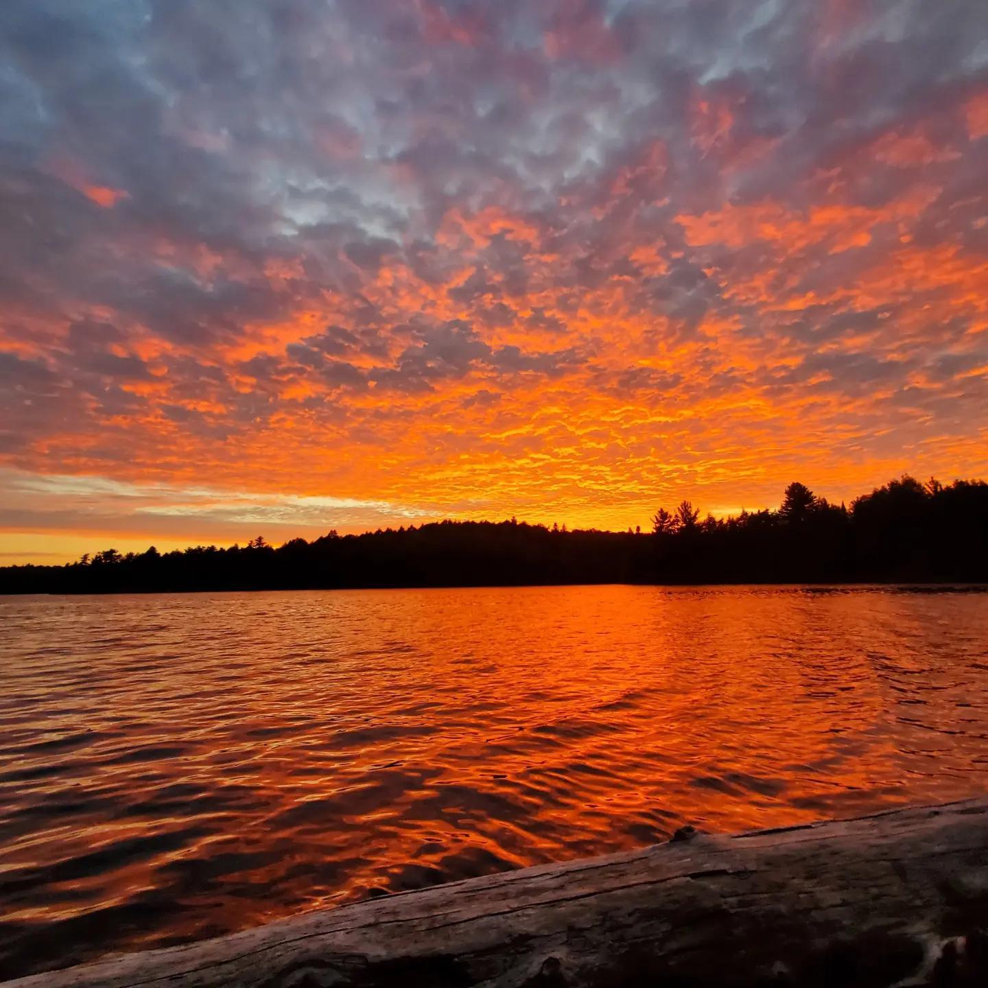 Pink Sky Sunset on the Upper Highland Trail, Algonquin, Canada.
