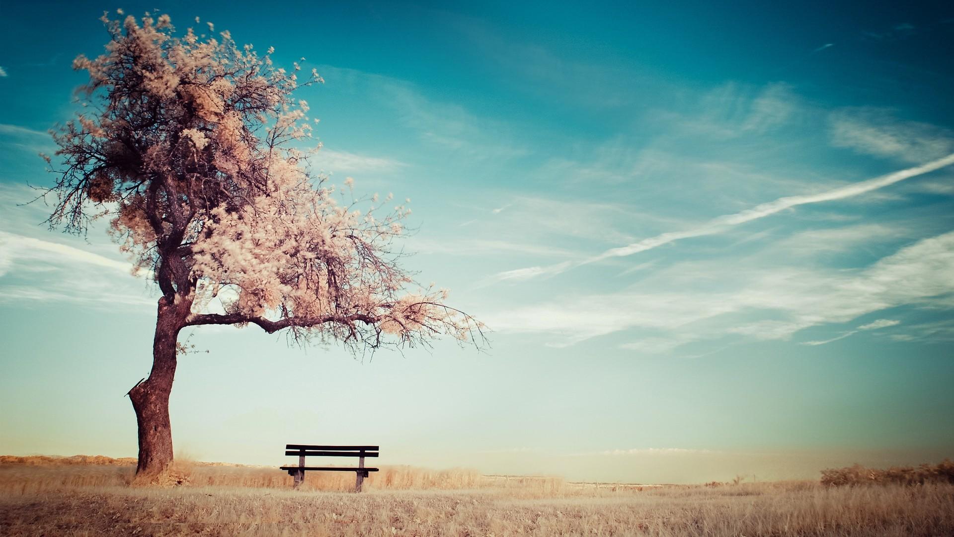 Wallpaper image