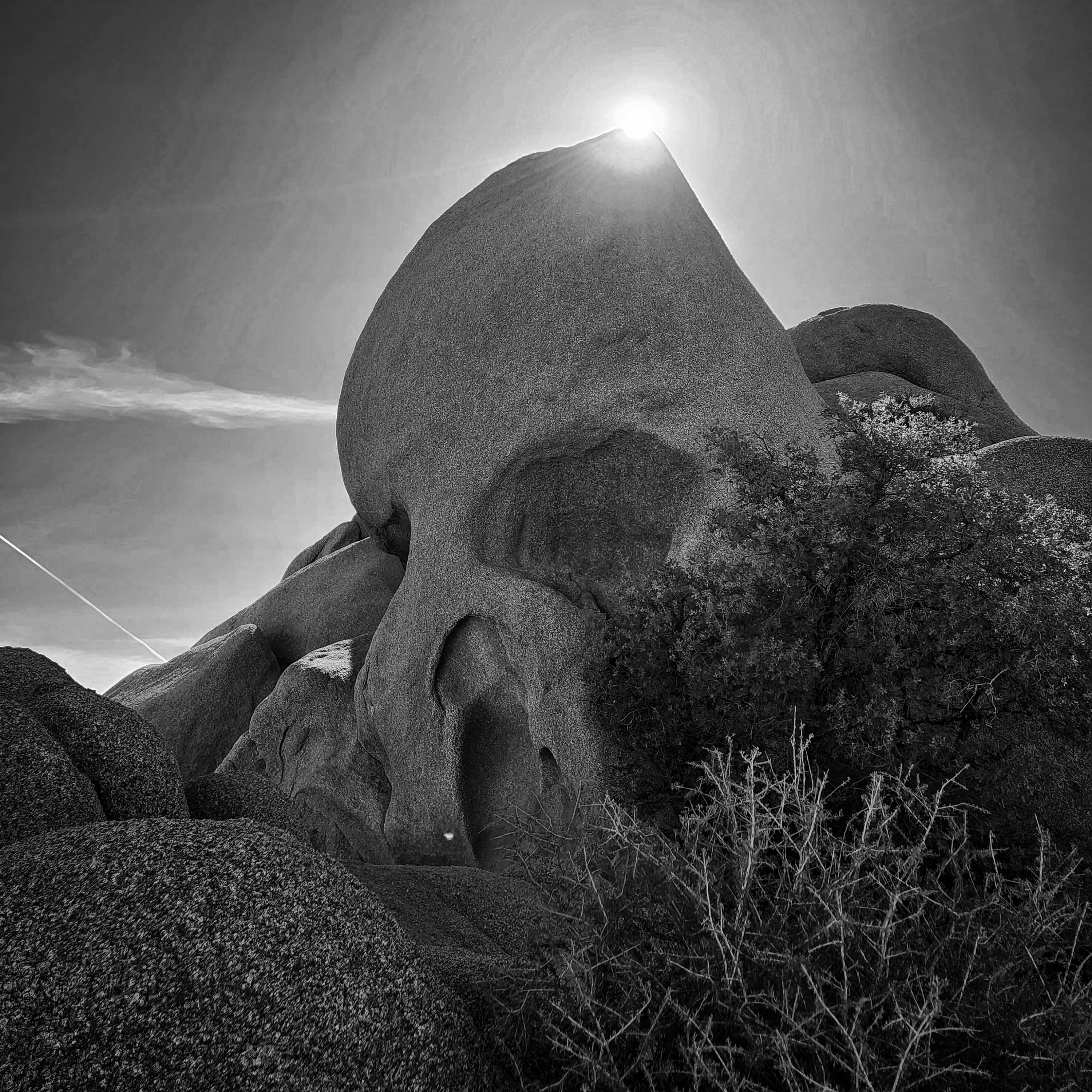 Skull Rock, Joshua Tree National Park, 2022