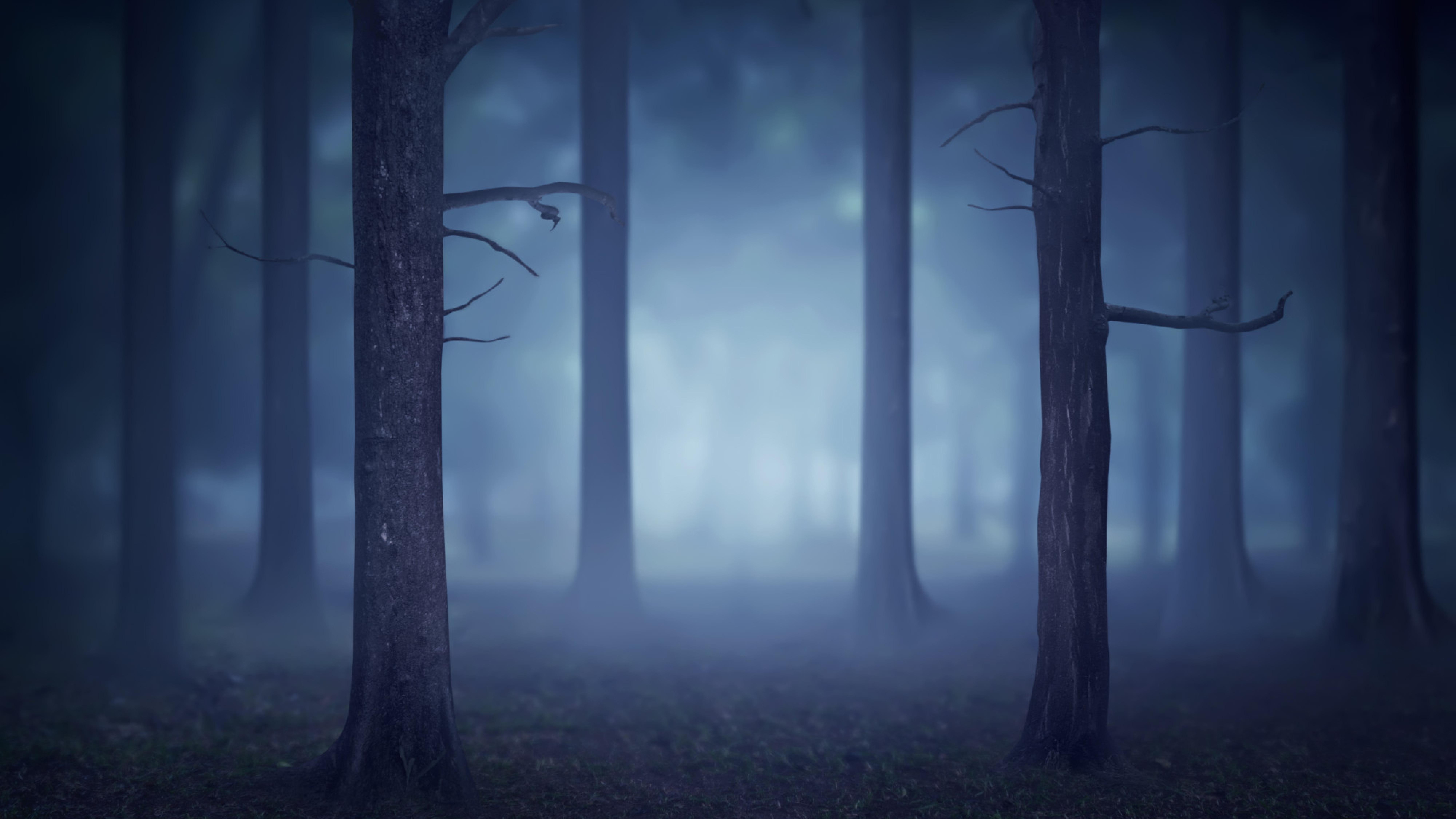 Wallpaper image