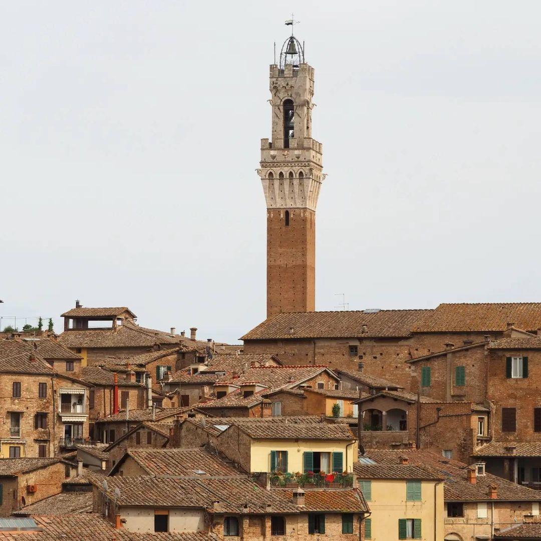 Sienne de Vie. Italy