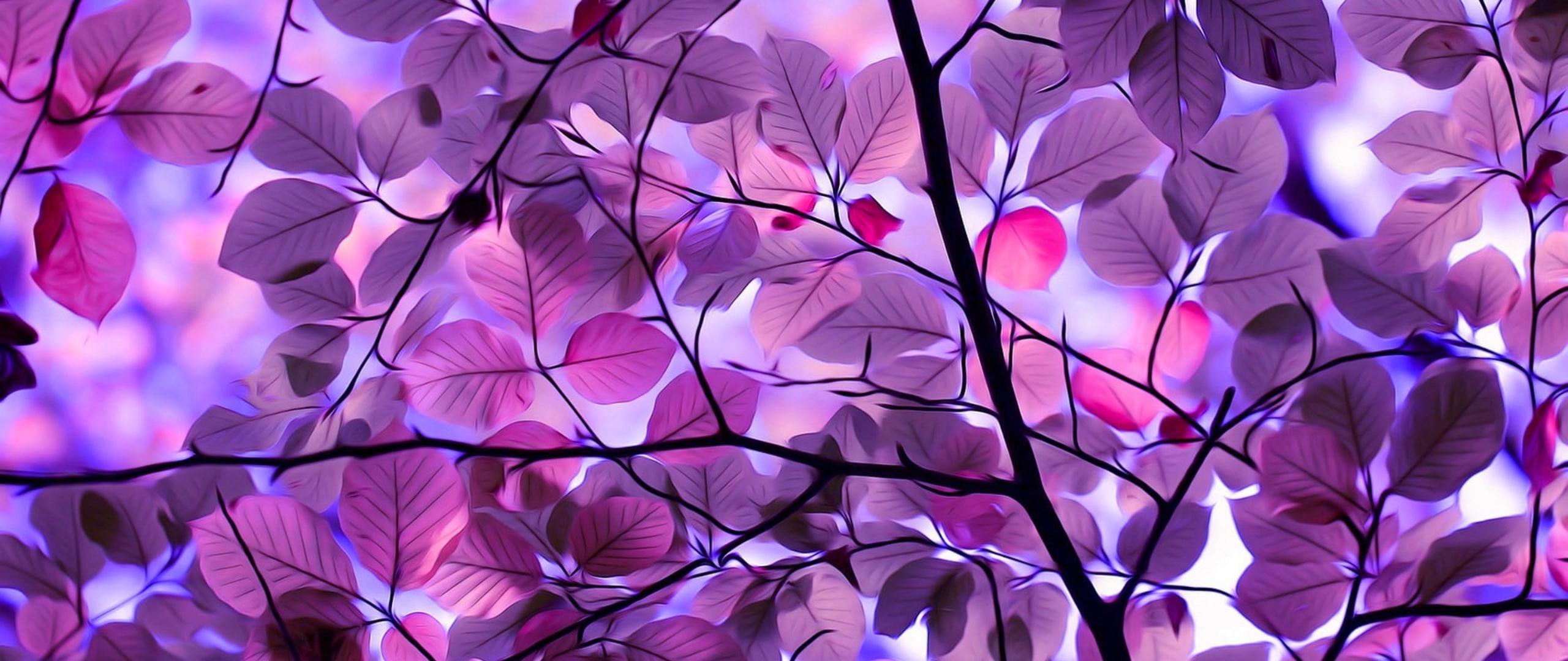 Wallpaper image