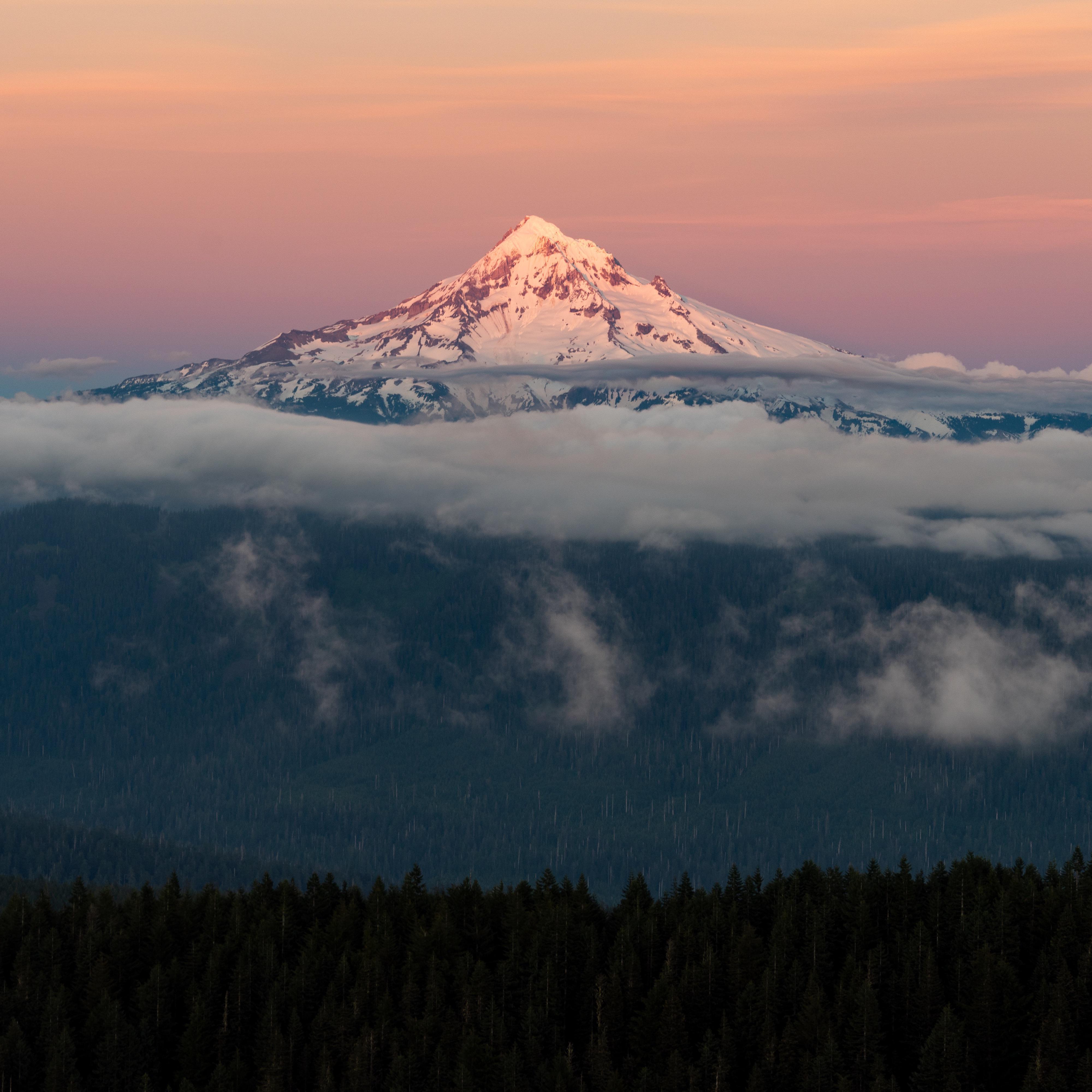 Mt. Hood
