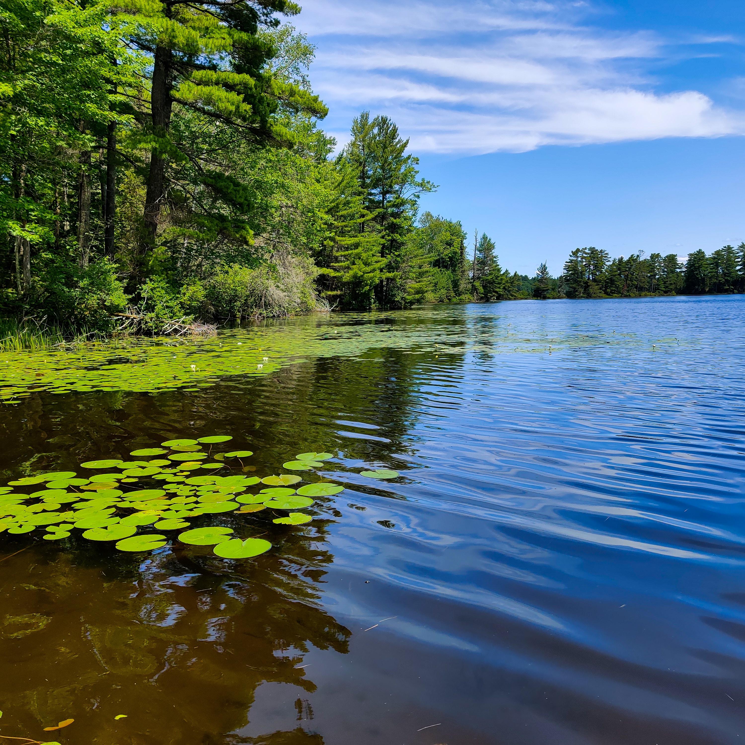 Small Lake in Northwoods Wisconsin