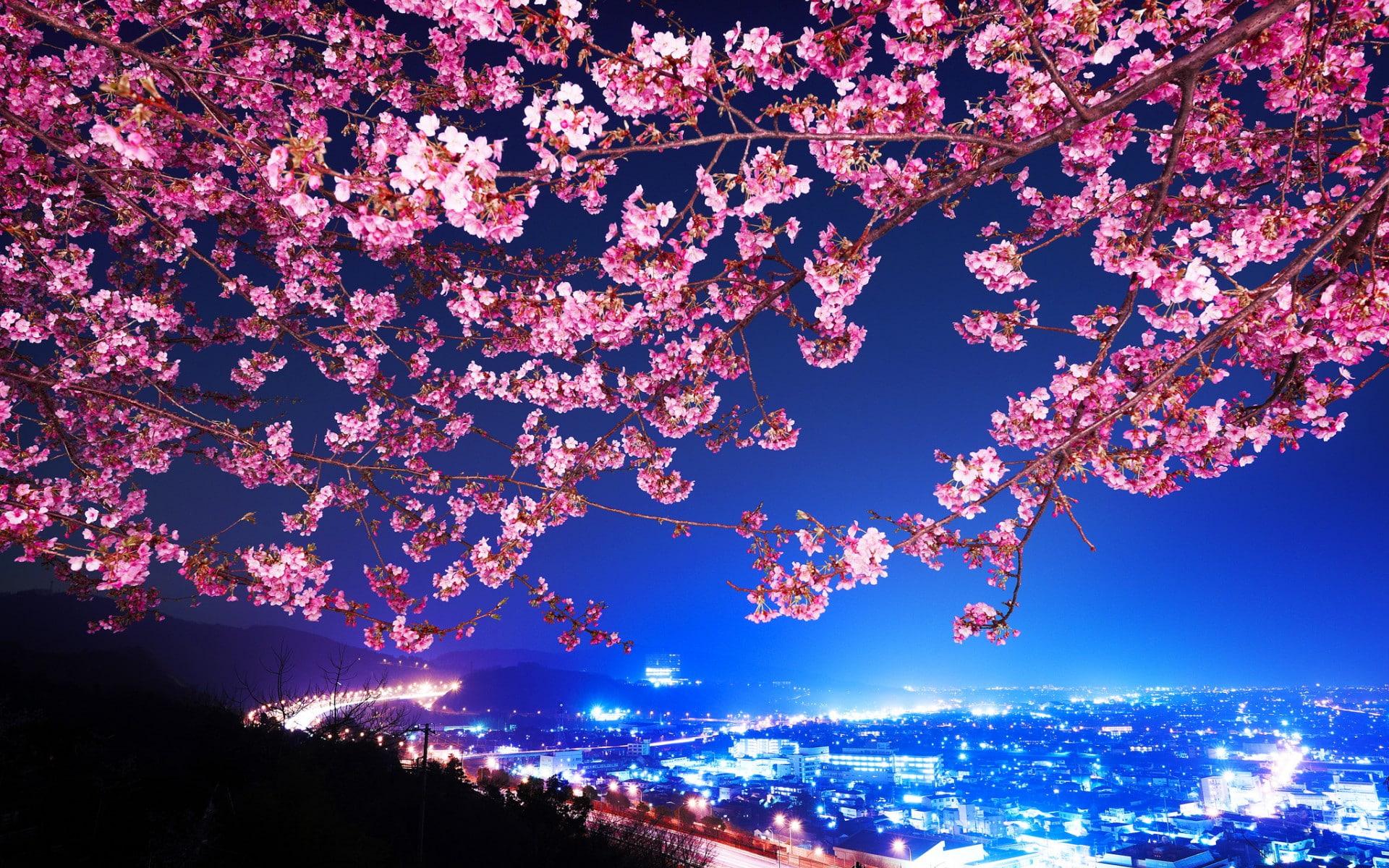 Wallpaper image