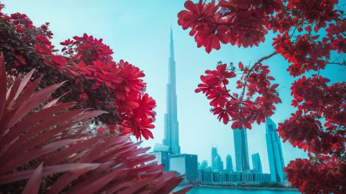 Dubai InfraScapes - Blooming Burj by Paolo Pettigiani