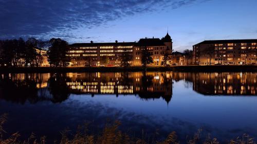 Evening reflections by the riverside