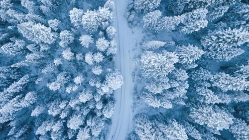 Aerial Wonderland: Snow-Covered Forest Path