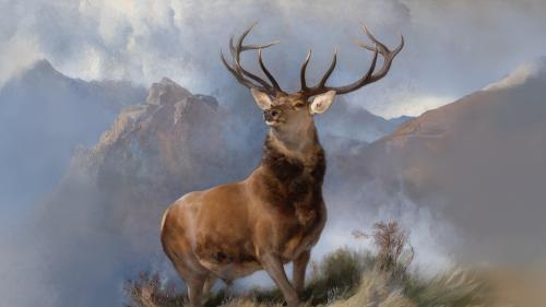 The Monarch of the Glen