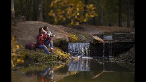 Golden Moments A Couples Escape to Nature