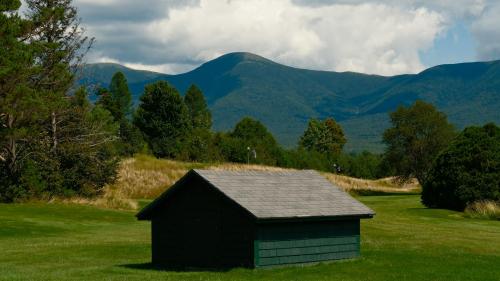 A green grassy field