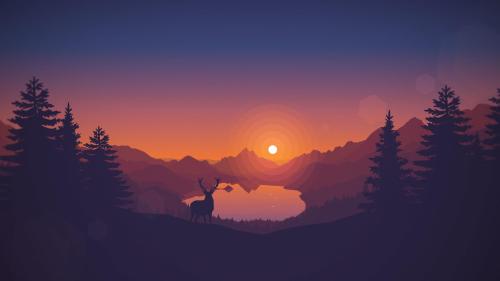 Deer, alone at sunset