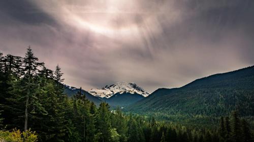 Glowing White Rays in the Jungle