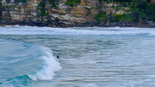 Surfer at Freshwater Beach, New South Wales Australia