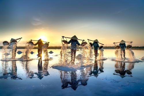 Working on a salt field, Hon Khoi in Nha Trang, Vietnam