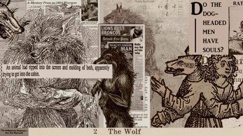 Dogman wallpaper, images found on google
