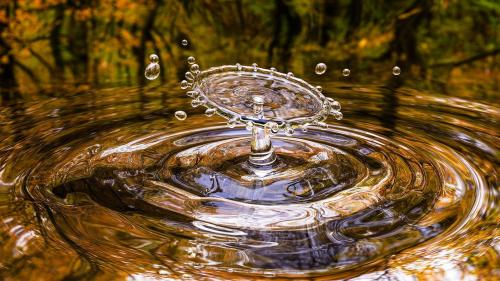 The Serene Dance of Water Drops: Nature's Timeless Symphony
