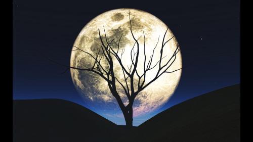 3D Halloween background with tree silhouetted against the moon