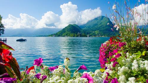 Peaceful Lake View with Blooming Flowers