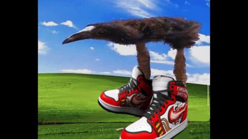 By demand, Gigantic Bird Standing on Its Huge Feet on the Default Windows Background, now with cool kicks.