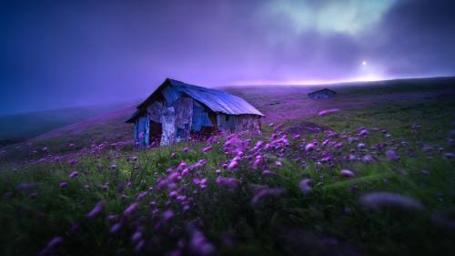 Abandoned Hut